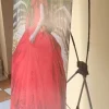banner-araña
