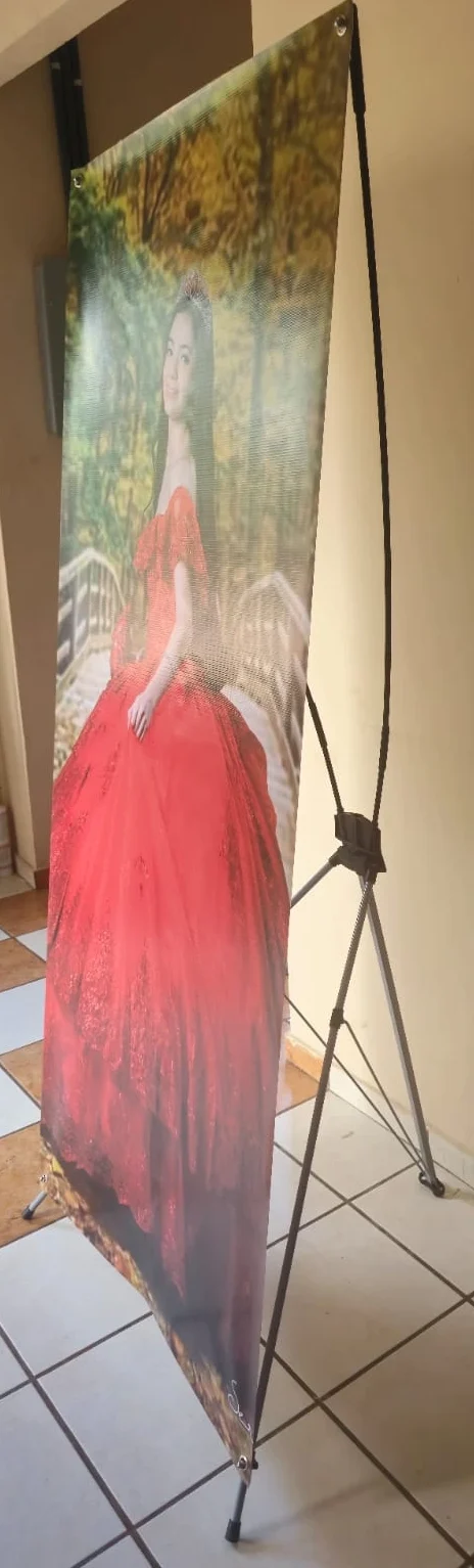 banner-araña