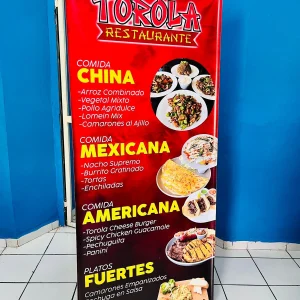 banner-araña