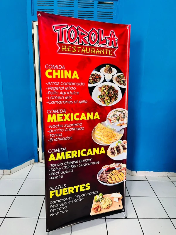 banner-araña