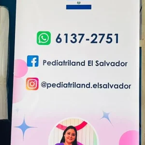 banner-tipo-arana