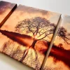 cuadros-canva