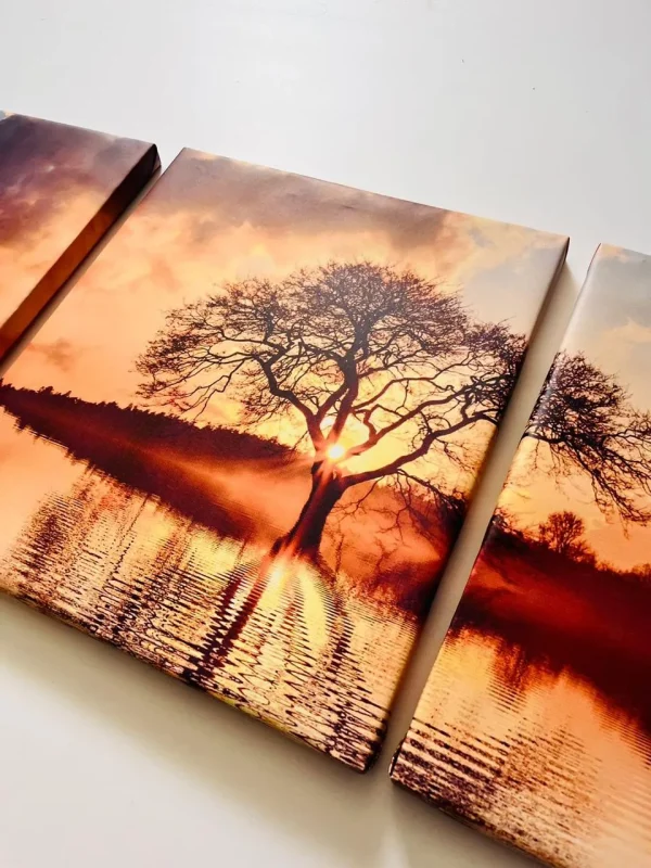cuadros-canva