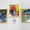 Cuadro con rompecabezas sublimado cuadro-rompecabeza